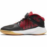 Баскетбольные кроссовки Nike Team Hustle D 9 FlyEase | BV2952-003