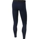 Тайтсы Nike Pro Men's Tights - картинка