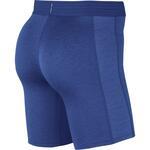 Шорты Nike Pro | BV5635-480