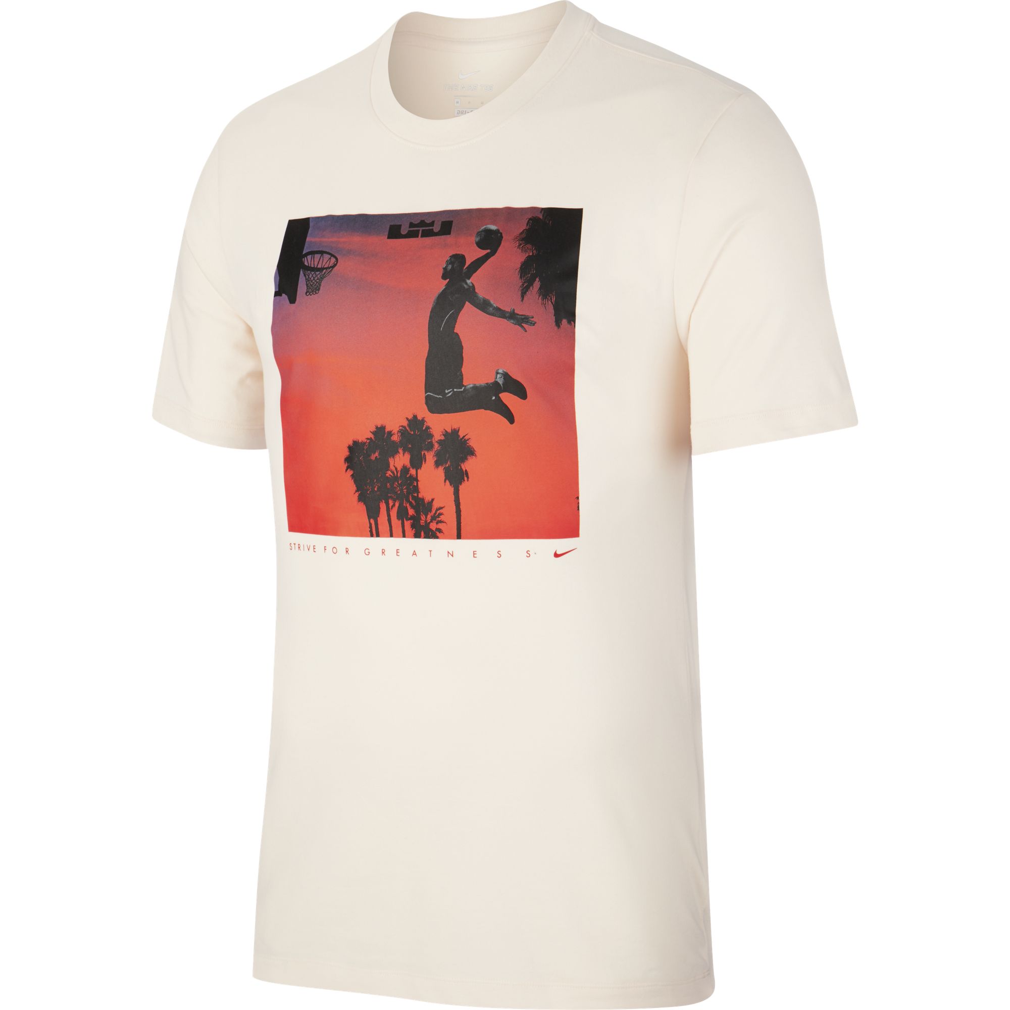Купить Футболка Nike Dri-FIT LeBron | BV8317-838 в Москве или заказать доставку на Slamdunk.su