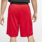 Шорты Nike Dri-FIT HBR | BV9227-657