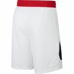 Баскетбольные шорты Nike Dri-FIT HBR | BV9385-100