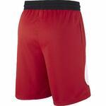 Баскетбольные шорты Nike Dri-FIT HBR | BV9385-657