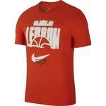 Nike Dri-FIT LeBron | CD0969-891