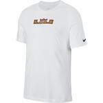 Футболка Nike Dri-FIT Lebron | CD1318-100