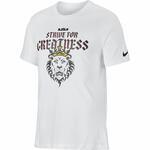 Футболка LeBron "Strive For Greatness" - картинка