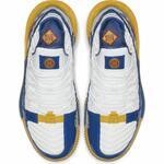 Баскетбольные кроссовки Nike Lebron XVI SB  - картинка
