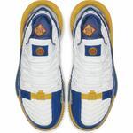 Баскетбольные кроссовки Nike Lebron XVI SB  | CD2451-100