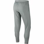 Штаны Nike Flex | CJ2218-084