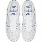 Nike SB Dunk Low Pro Premium | CJ6884-100