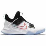 Баскетбольные кроссовки Nike Zoom Flight - картинка