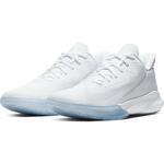 Баскетбольные кроссовки Nike Precision IV | CK1069-100