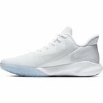 Баскетбольные кроссовки Nike Precision IV | CK1069-100
