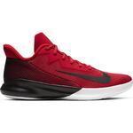 Баскетбольные кроссовки Nike Precision IV | CK1069-600