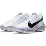 Баскетбольные кроссовки Nike Zoom Freak 2 | CK5424-100