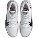 Баскетбольные кроссовки Nike Zoom Freak 2 | CK5424-100