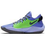 Баскетбольные кроссовки Nike Zoom Freak 2 | CK5424-500