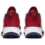 Баскетбольные кроссовки Nike Air Zoom BB NXT | CK5707-600