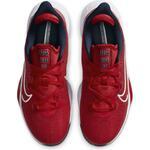 Баскетбольные кроссовки Nike Air Zoom BB NXT | CK5707-600