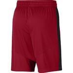 Баскетбольные шорты Jordan Jumpman | CK6837-687