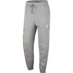 Штаны Jordan Sport DNA | CK9583-091