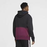 Толстовка Jordan Paris Saint-Germain | CK9773-010