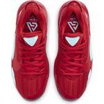 Баскетбольные кроссовки Nike Zoom Freak 2 | CN8574-605