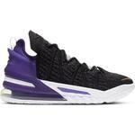Баскетбольные кроссовки Nike LeBron 18 | CQ9283-004