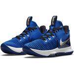 Баскетбольные кроссовки Nike LeBron Witness 5 | CQ9380-400