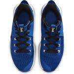 Баскетбольные кроссовки Nike LeBron Witness 5 | CQ9380-400
