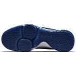 Баскетбольные кроссовки Nike LeBron Witness 5 | CQ9380-400