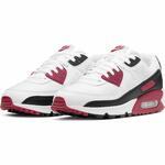 Кроссовки Nike Air Max 90 | CT4352-104