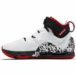 Баскетбольные кроссовки Nike LeBron 17 "Graffiti" | CT6047-100