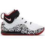 Баскетбольные кроссовки Nike LeBron 17 "Graffiti" | CT6047-100