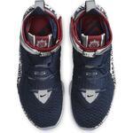 Баскетбольные кроссовки Nike LeBron 17 FP | CT6047-400