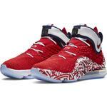 Баскетбольные кроссовки Nike LeBron 17 FP | CT6047-600