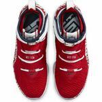 Баскетбольные кроссовки Nike LeBron 17 FP - картинка
