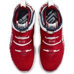 Баскетбольные кроссовки Nike LeBron 17 FP | CT6047-600