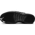 Кроссовки Air Jordan 12 Retro | CT8013-170