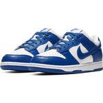 Кроссовки Nike Dunk Low Special Edition | CU1726-100
