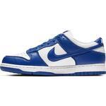 Кроссовки Nike Dunk Low Special Edition | CU1726-100