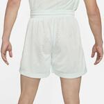 Баскетбольные шорты Nike KD | CV2393-394