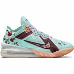 Баскетбольные кроссовки Nike LeBron 18 Low | CV7562-400