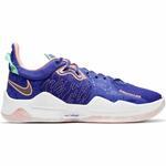 Баскетбольные кроссовки Nike PG 5 "LA Drip" | CW3143-400