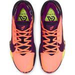 Баскетбольные кроссовки Nike Zoom Freak 2 | CW3162-800