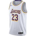 Джерси Nike LeBron James Lakers Association Edition 2020 | CW3595-101