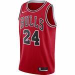 Джерси Nike Bulls Icon Edition 2020 - картинка