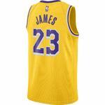 Джерси Nike LeBron James Lakers Icon Edition 2020 | CW3669-734