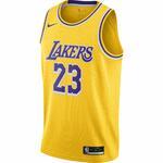 Джерси Nike LeBron James Lakers Icon Edition 2020 | CW3669-734