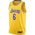 Джерси Nike Lakers Icon Edition 2020 | CW3669-738